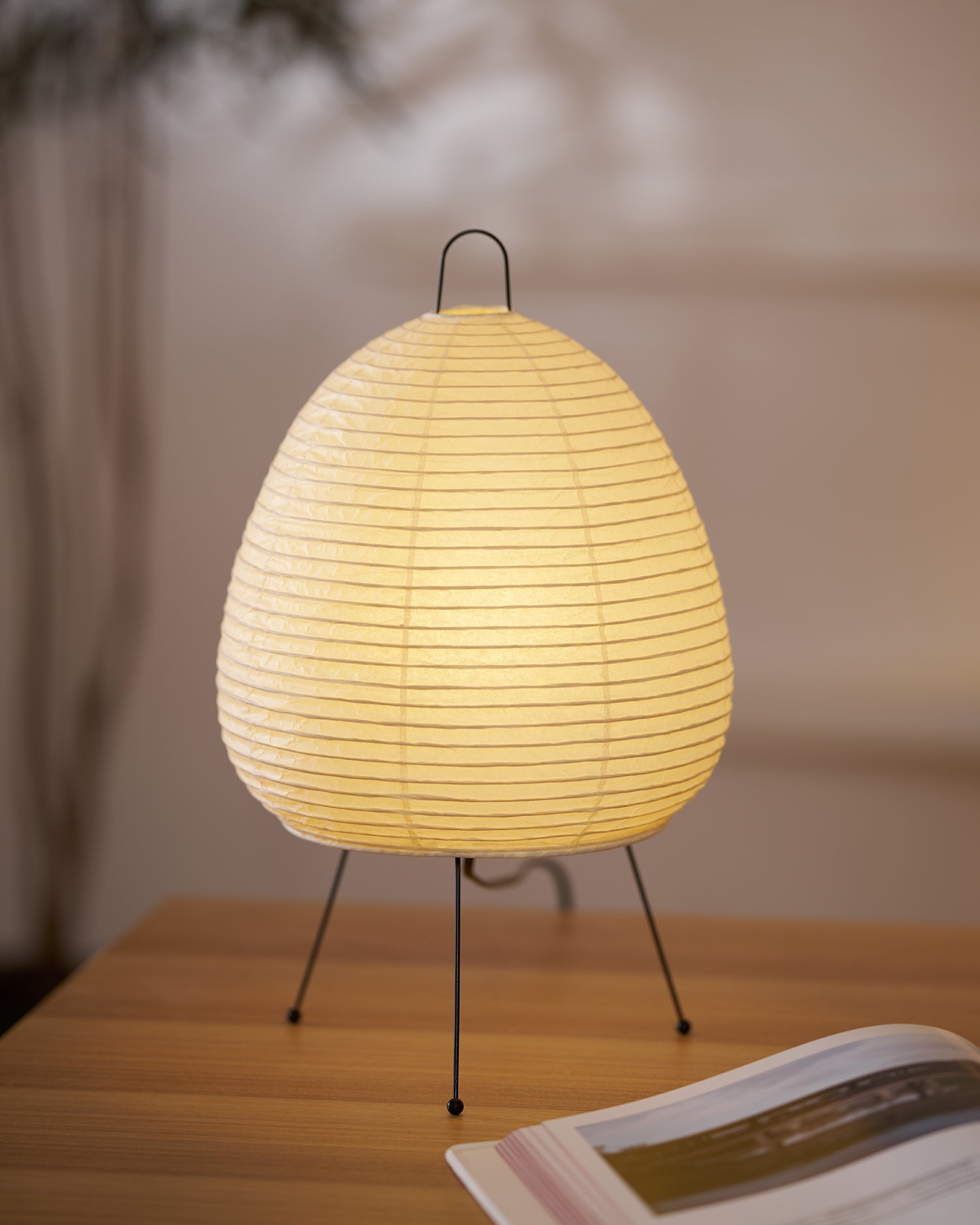 Torsonus Table Lamp