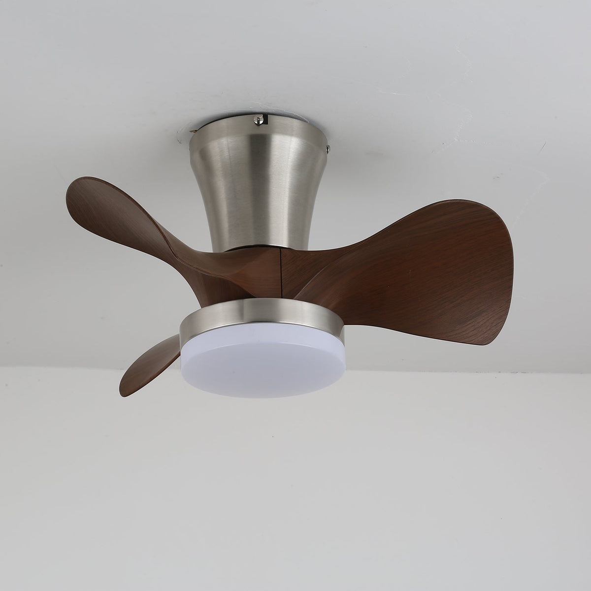 Quinas Ceiling Fan Light