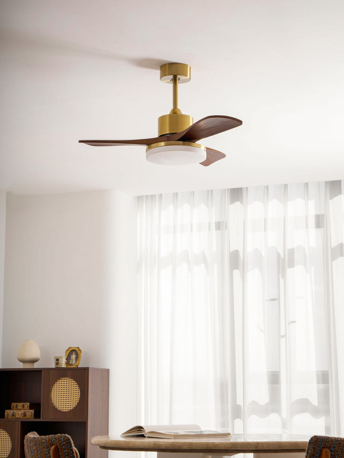 Virova Ceiling Fan Light