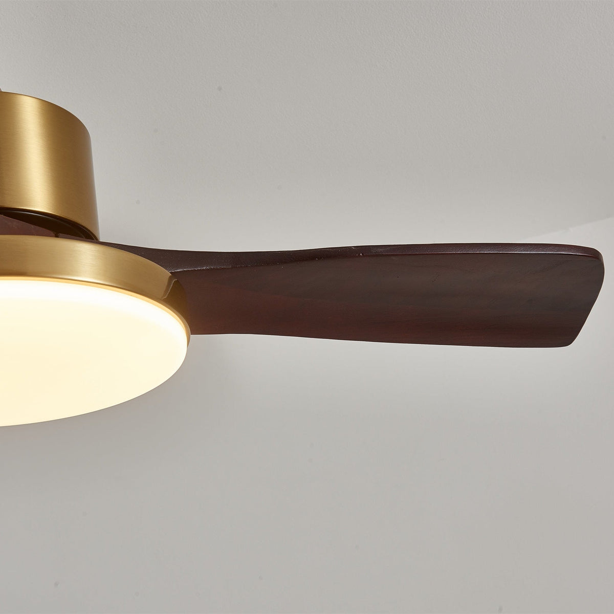 Virova Ceiling Fan Light