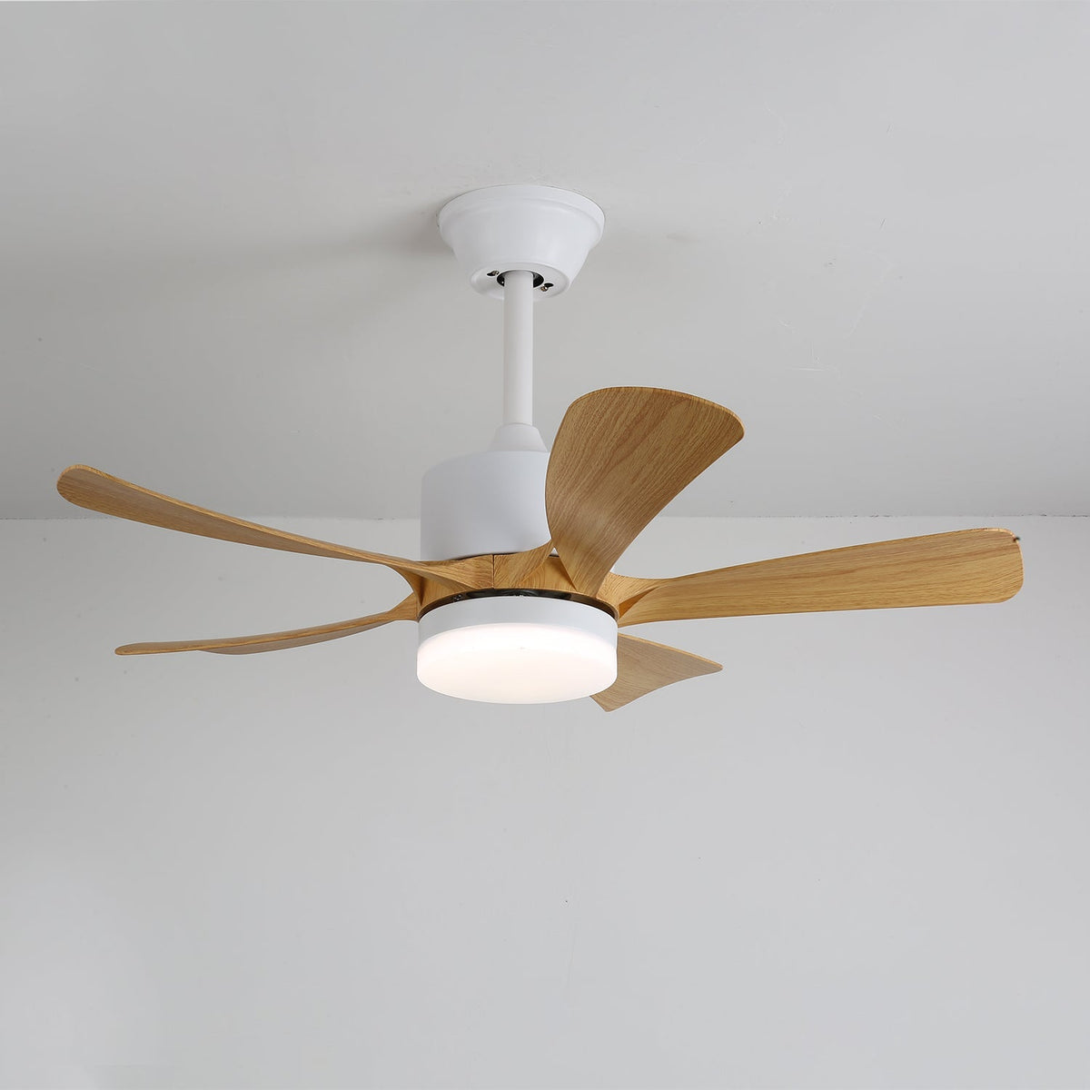 Axer Ceiling Fan Light