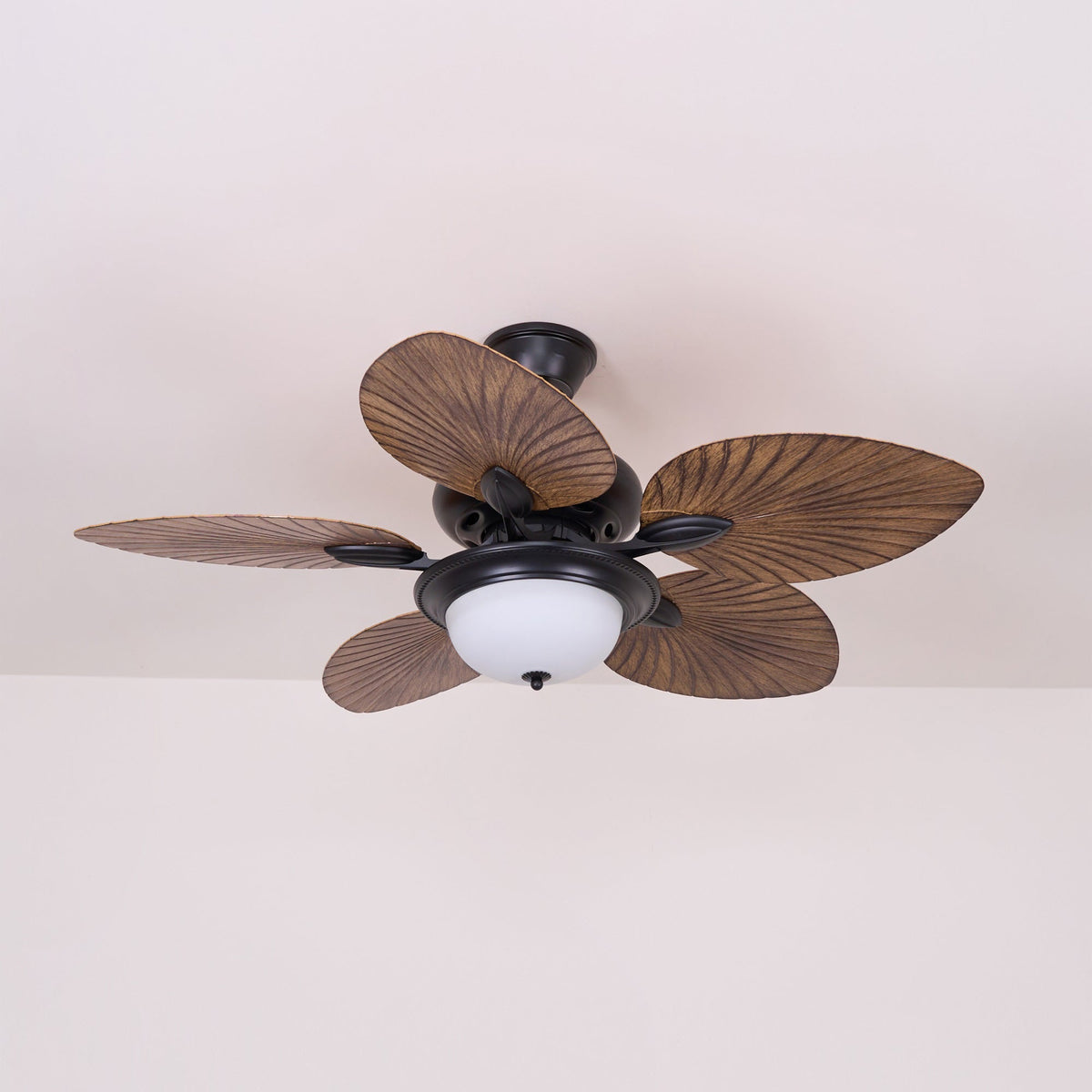 Jorlyn Ceiling Fan Light