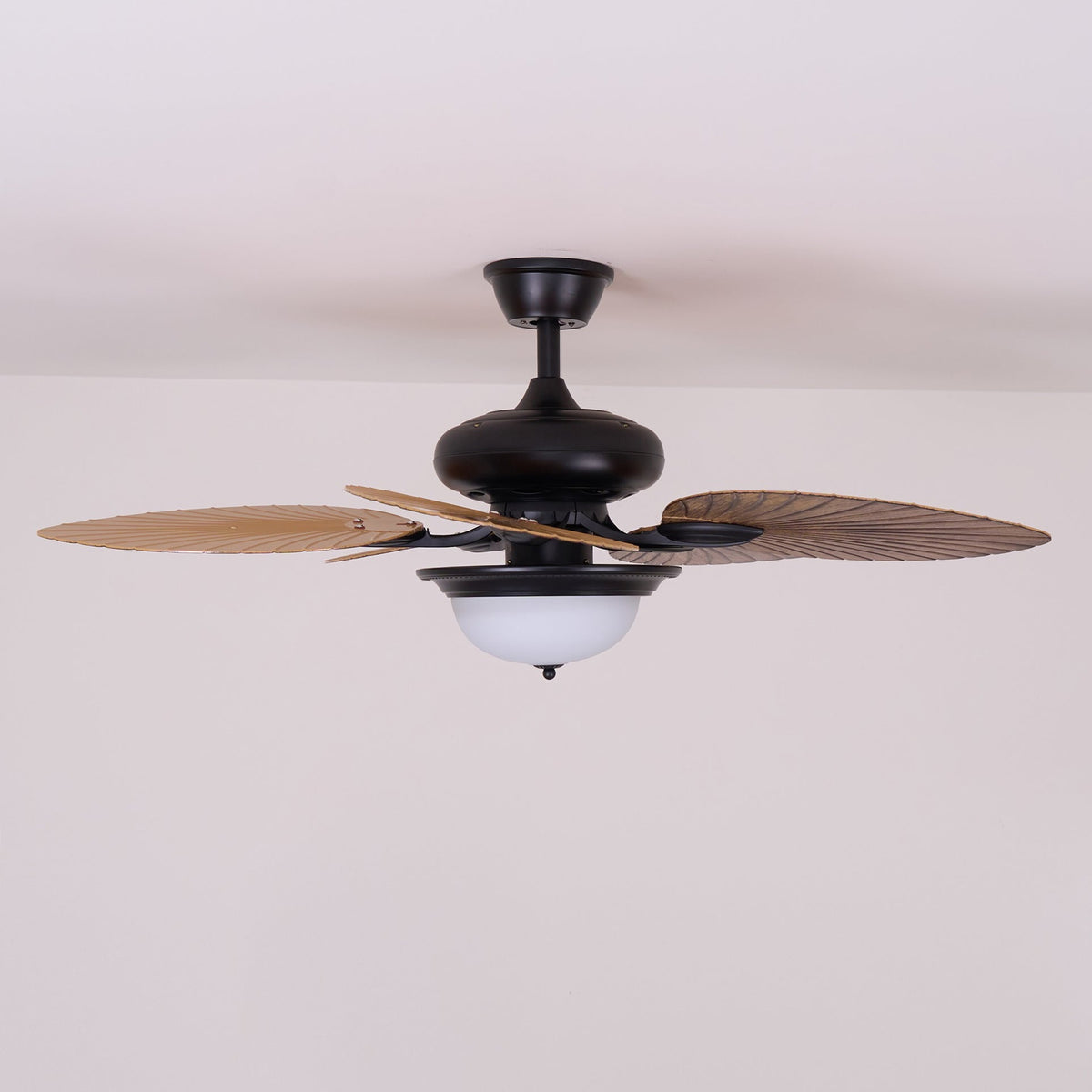 Jorlyn Ceiling Fan Light