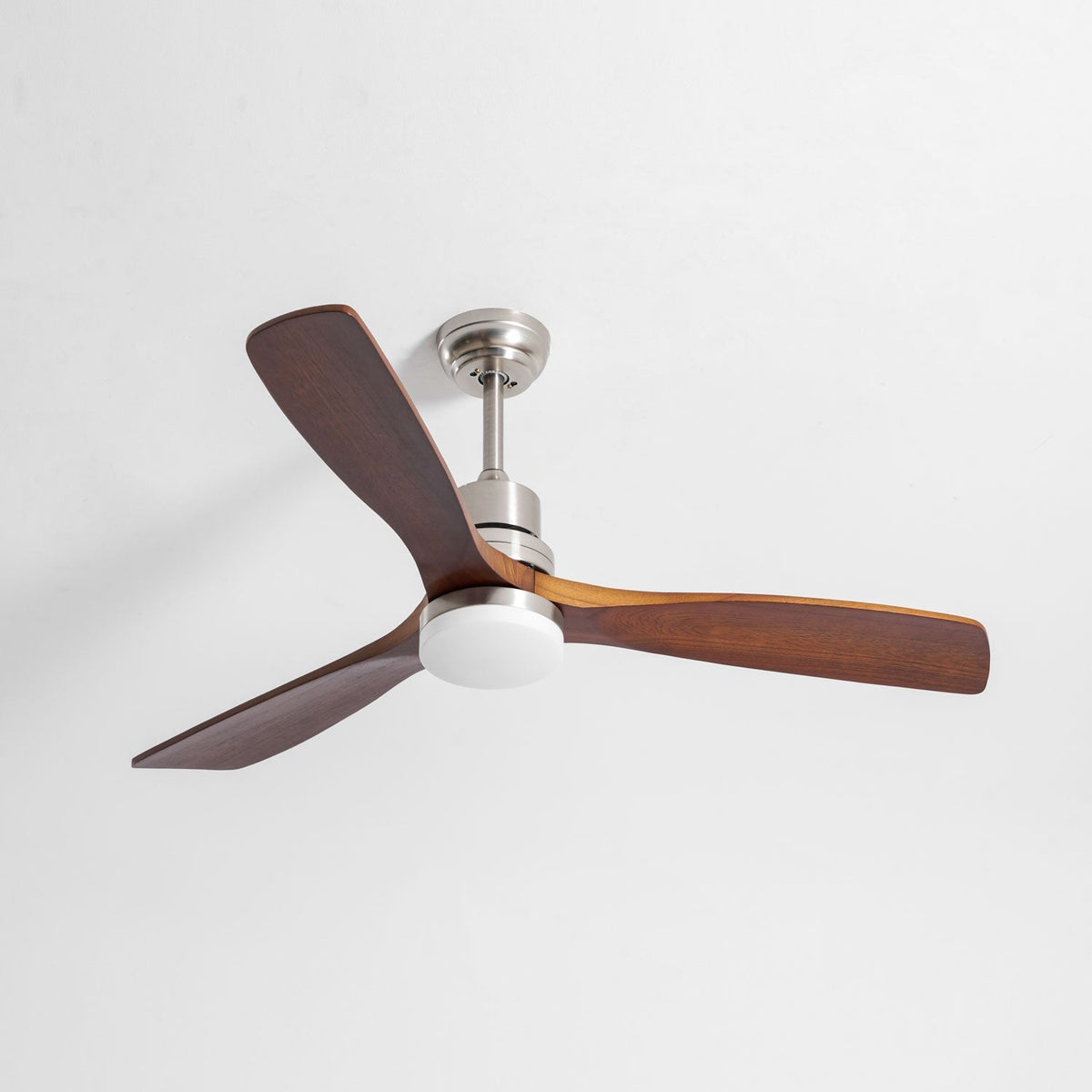 Camey Ceiling Fan Light