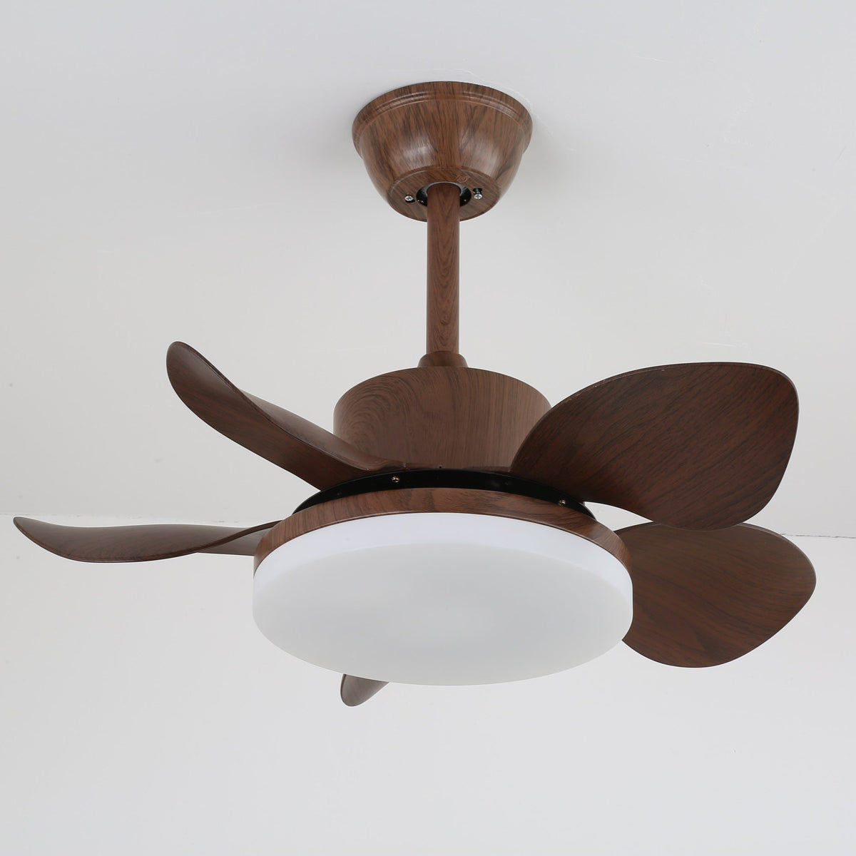 Evone Ceiling Fan Light
