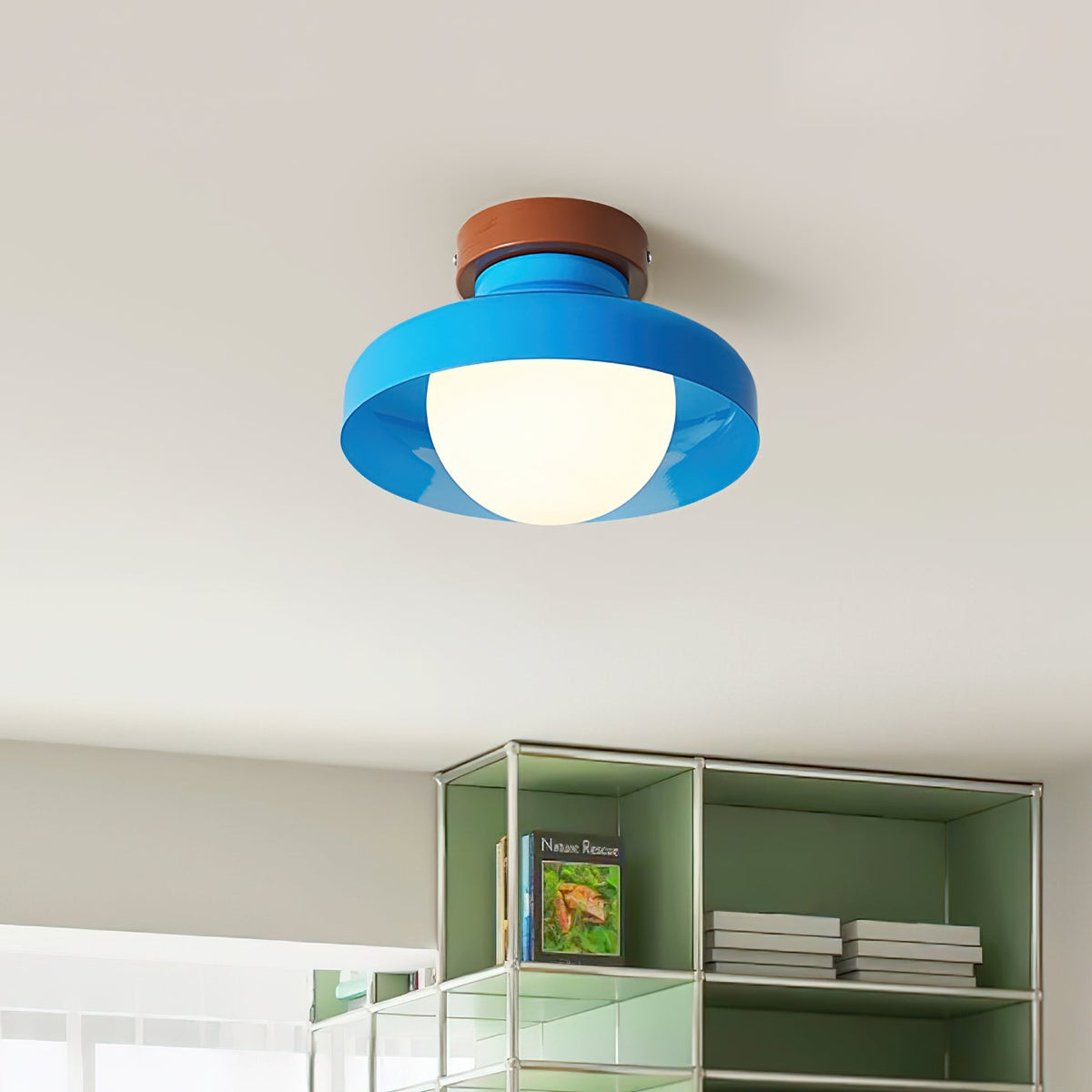 Milolenor Outdoor Ceiling Light