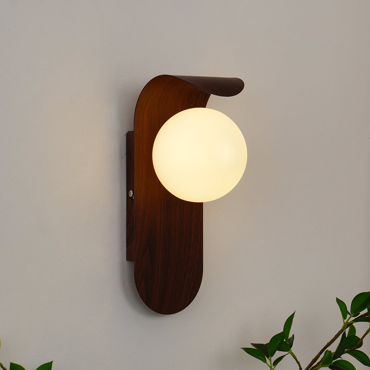 Axas Wall Light
