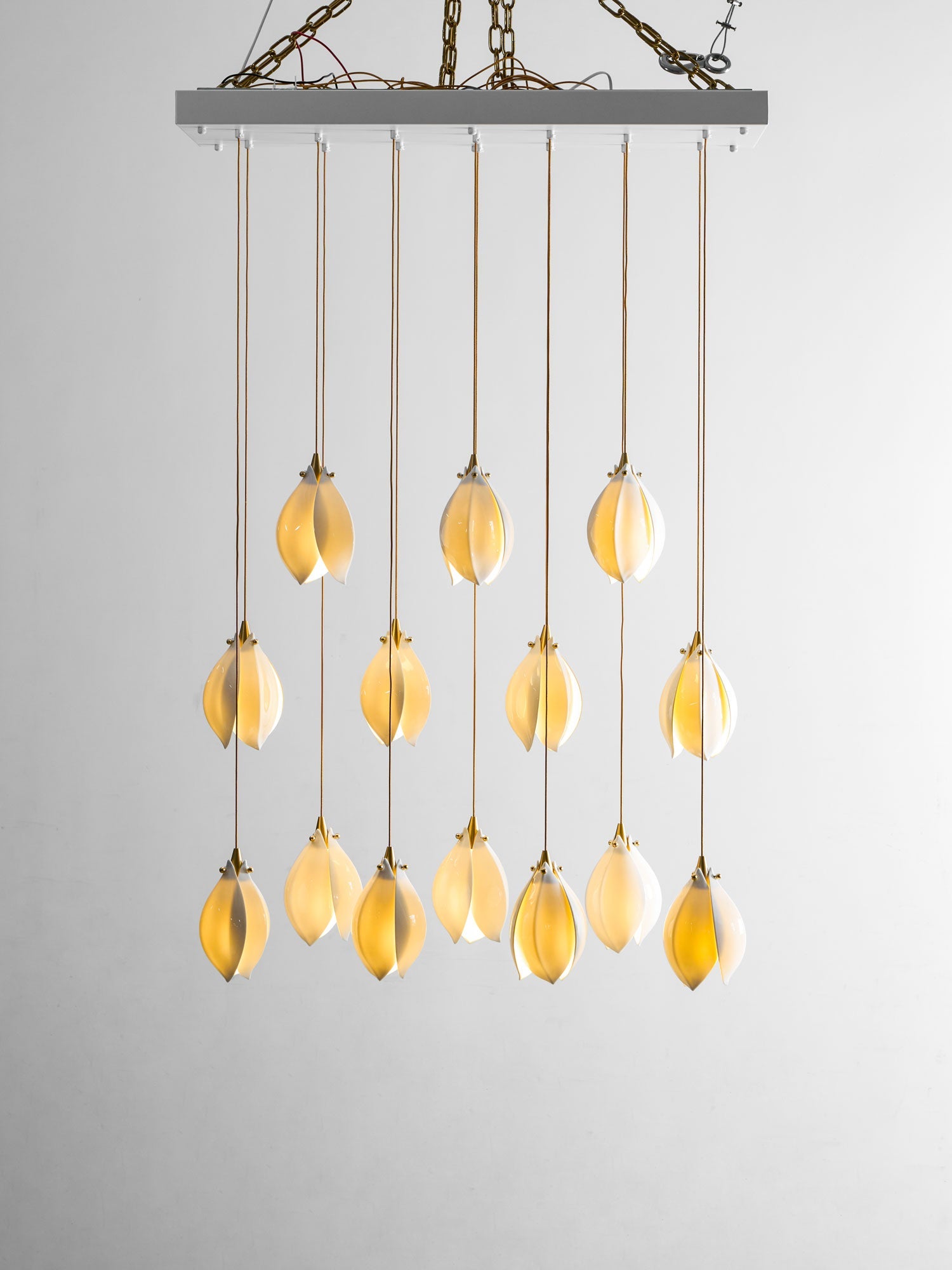 Dovean Pendant Light