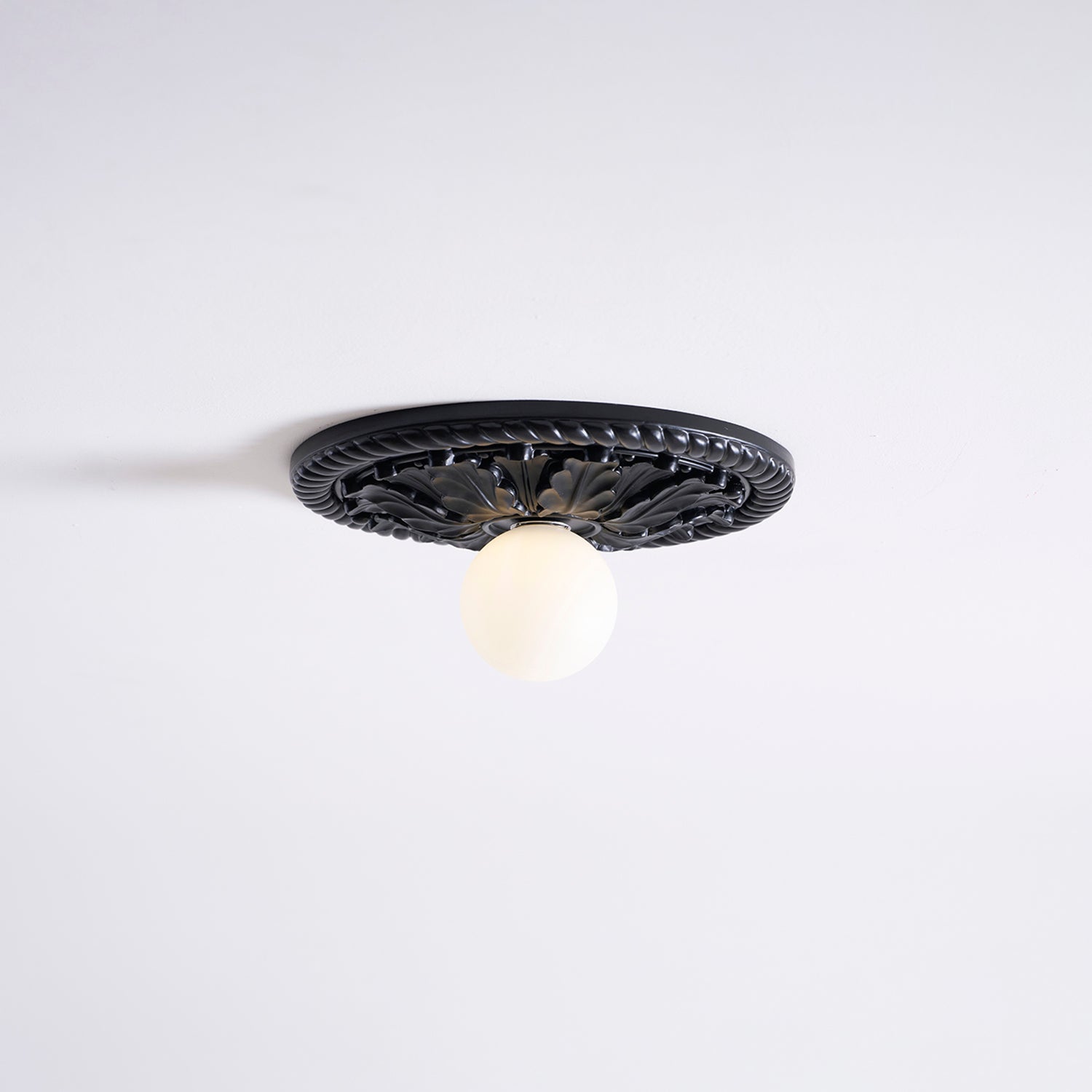 Paxsonal Outdoor Ceiling Light