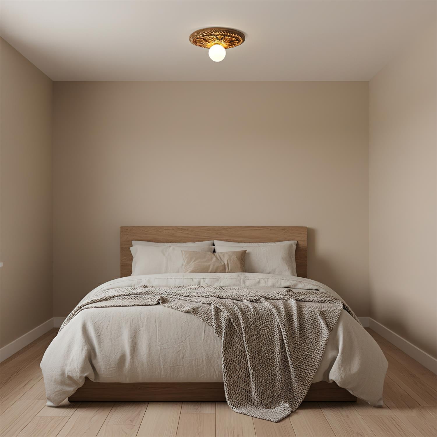 Paxsonal Outdoor Ceiling Light
