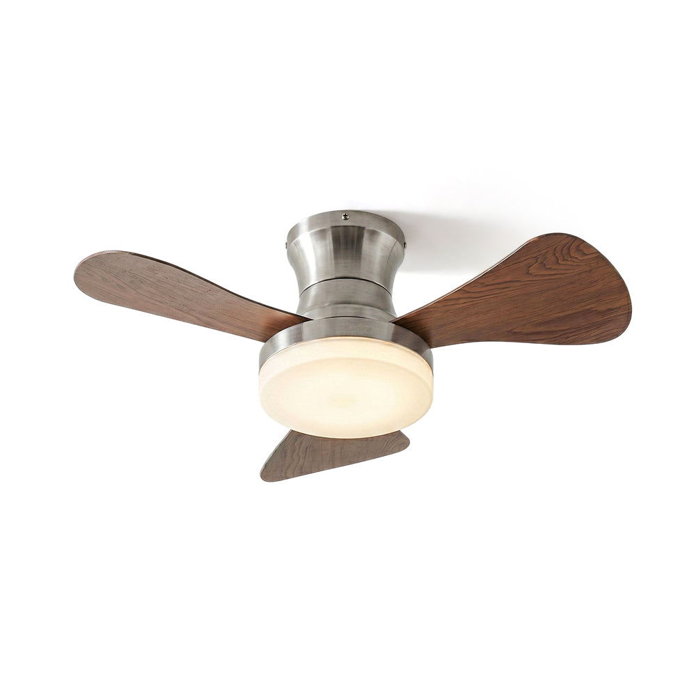 Lanon Ceiling Fan Light