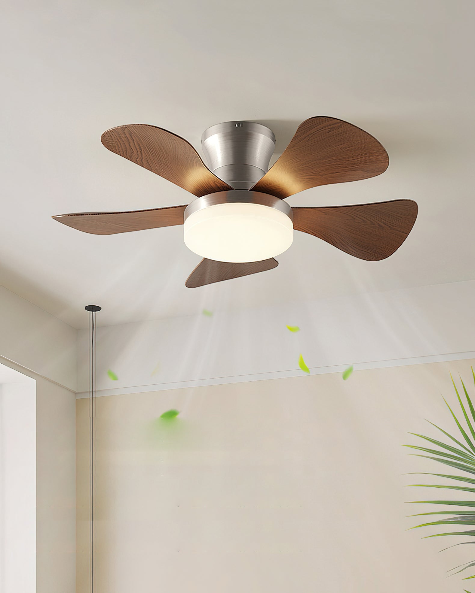 Lanon Ceiling Fan Light