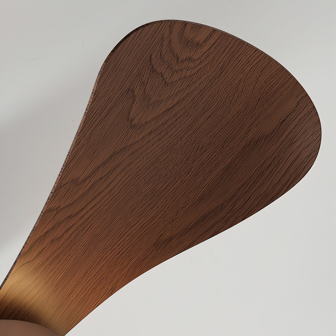 Lanon Ceiling Fan Light