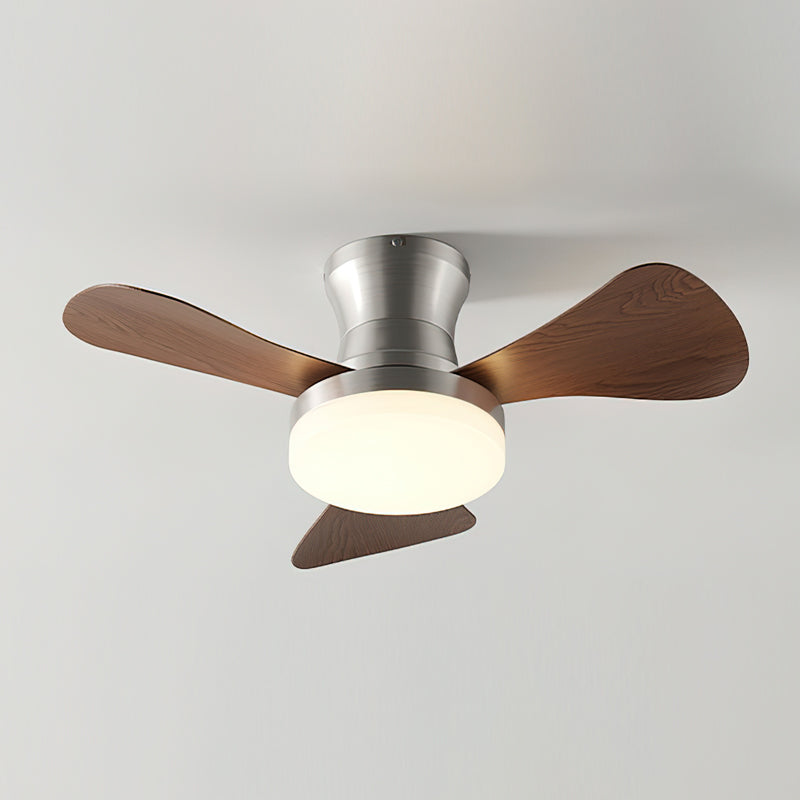 Lanon Ceiling Fan Light