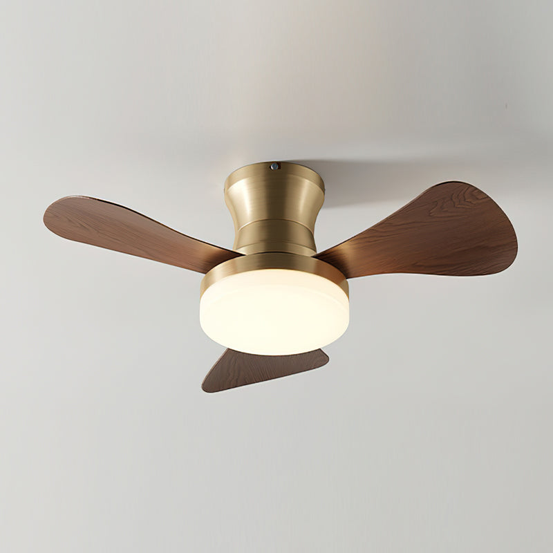 Lanon Ceiling Fan Light