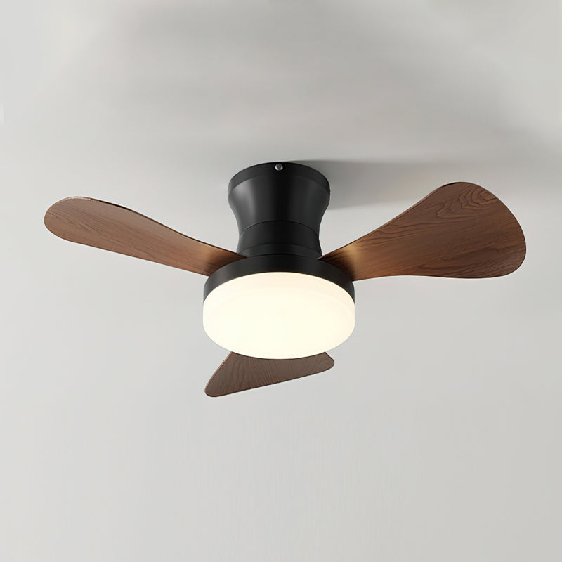 Lanon Ceiling Fan Light