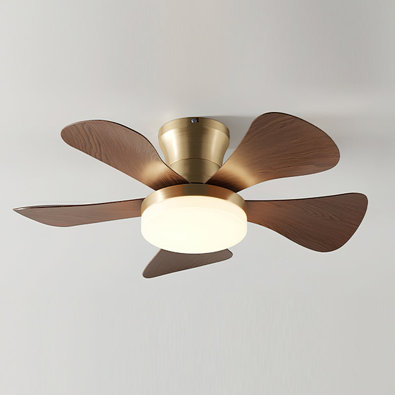 Lanon Ceiling Fan Light