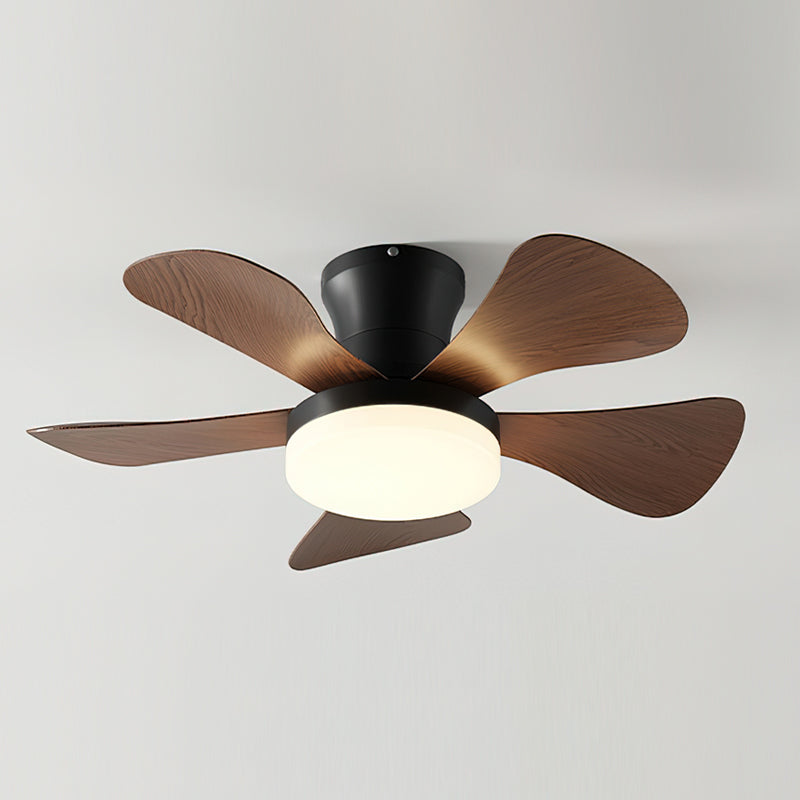 Lanon Ceiling Fan Light