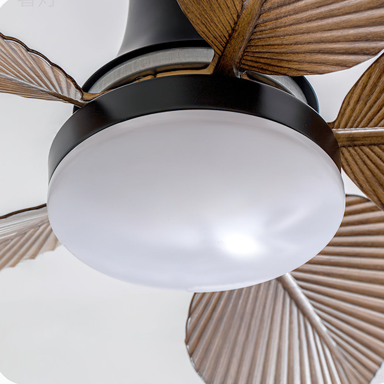 Armara Ceiling Fan Light