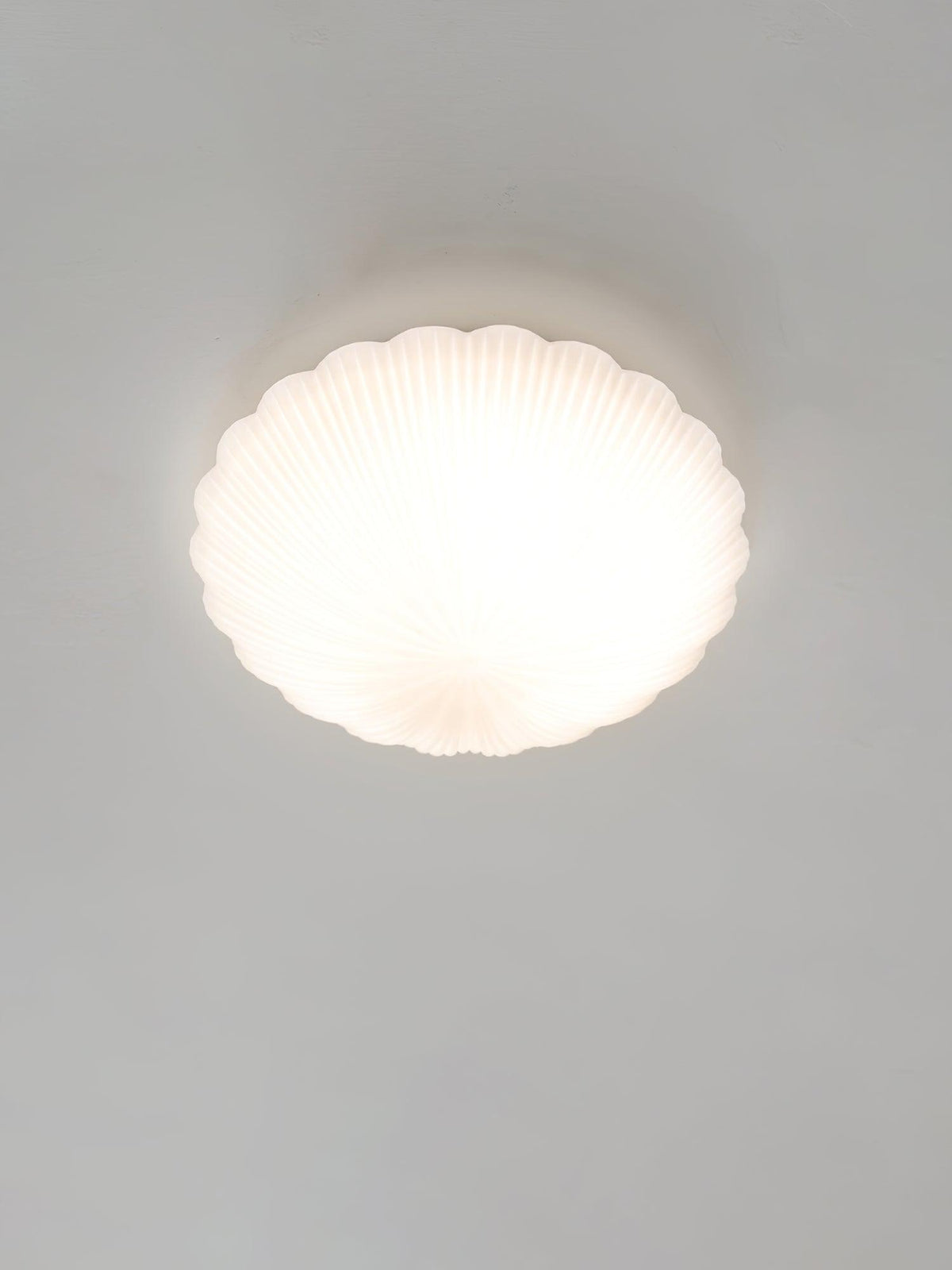 Devan Seashell Ceiling Lamp – detail 22