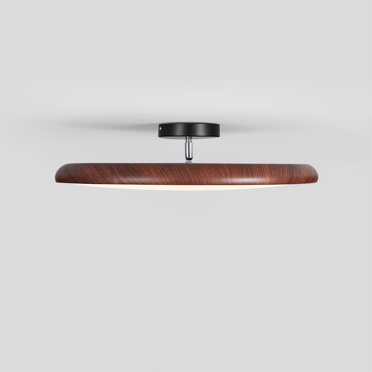 Talime Ceiling Light