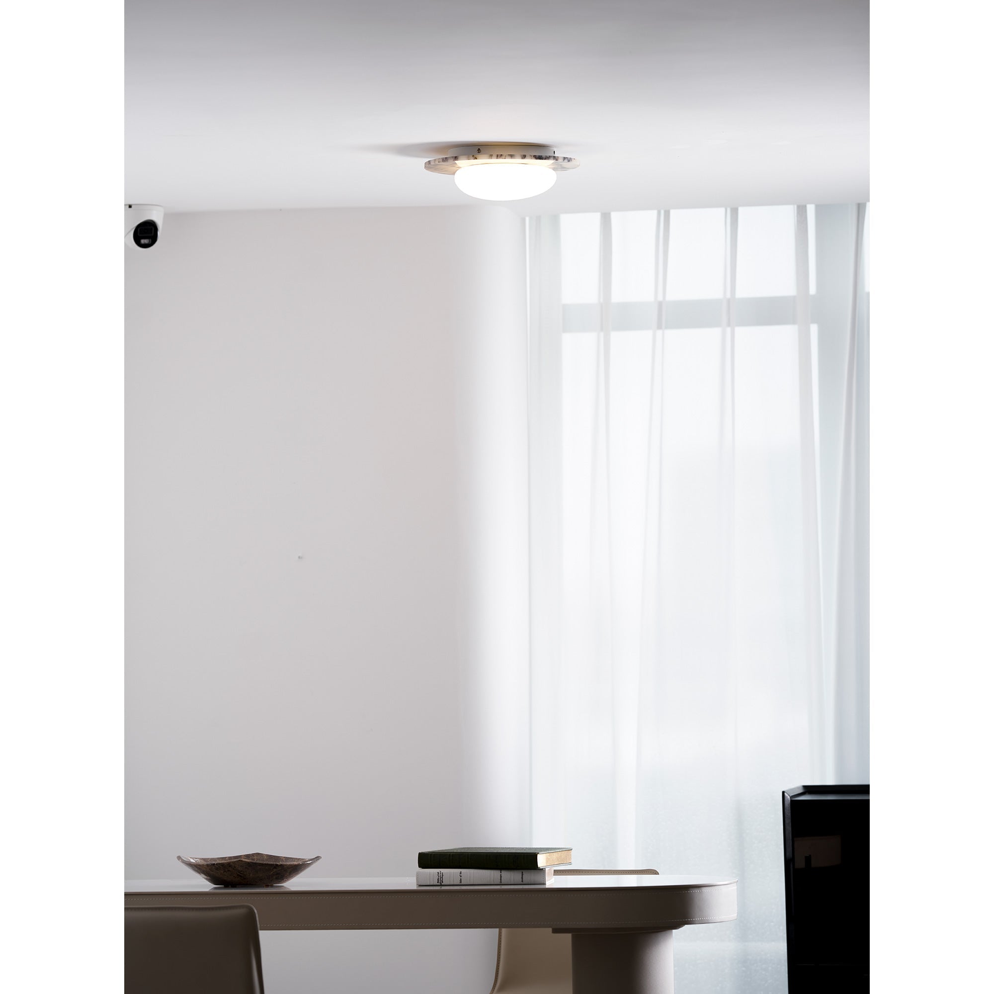 Covemo Modern Ceiling Light