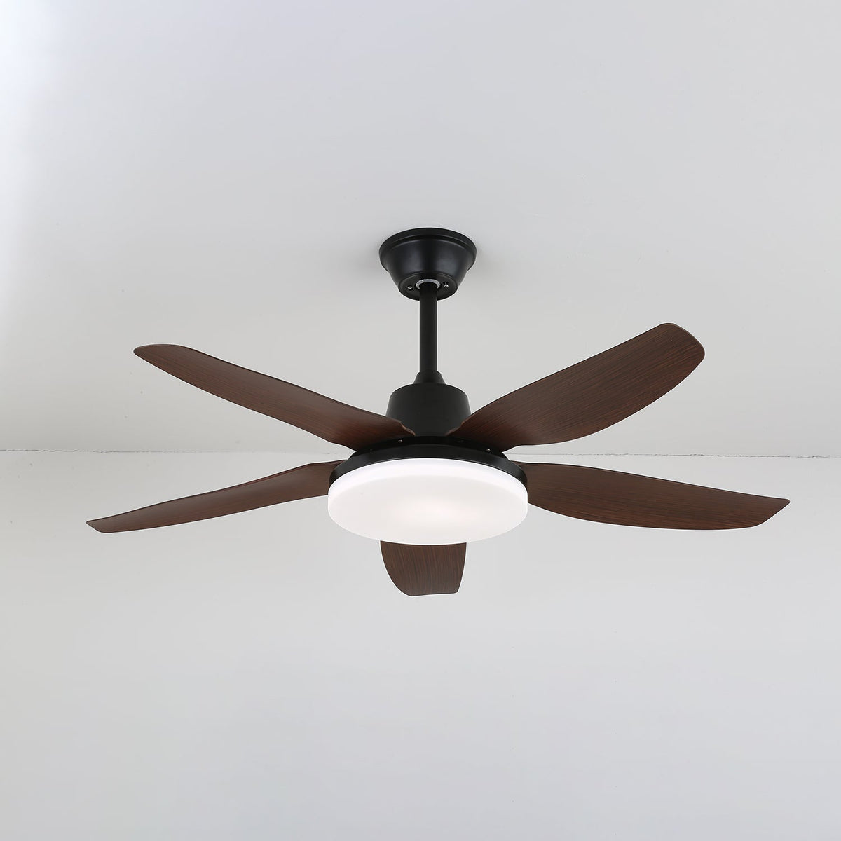 Milomia Ceiling Fan Light
