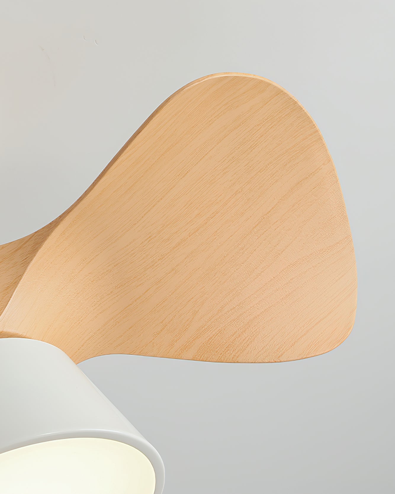 Foxero Ceiling Fan Light