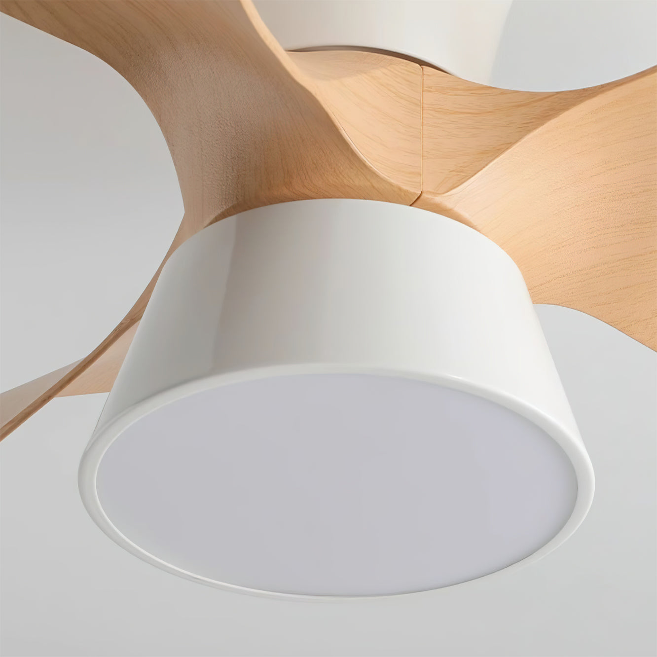Foxero Ceiling Fan Light