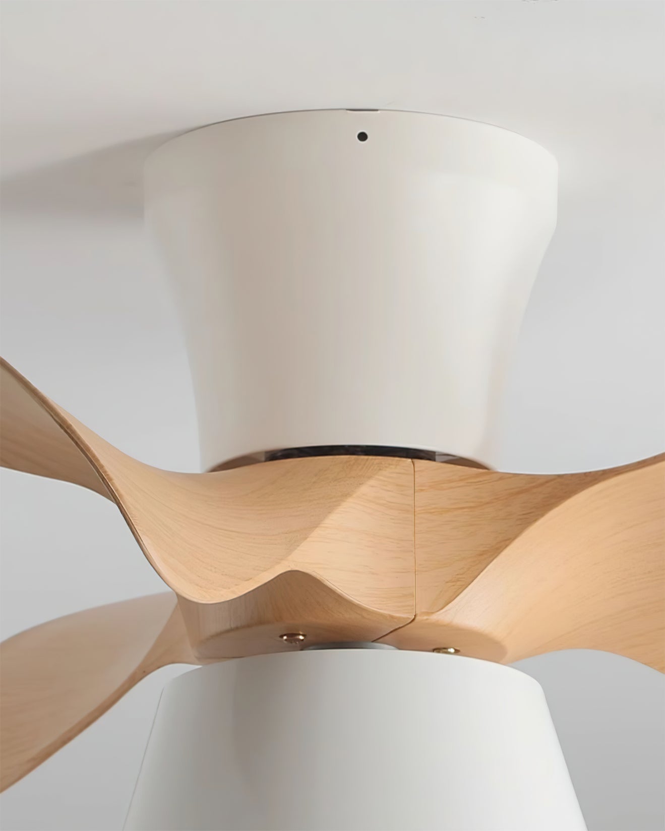 Foxero Ceiling Fan Light
