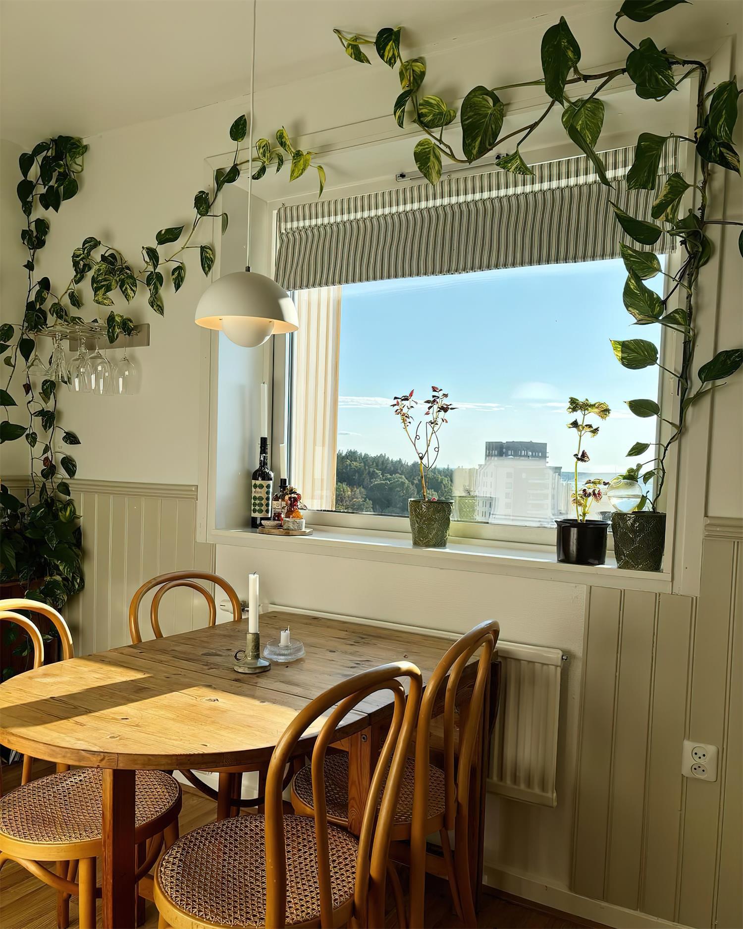 Nollyn Plug In Pendant Light