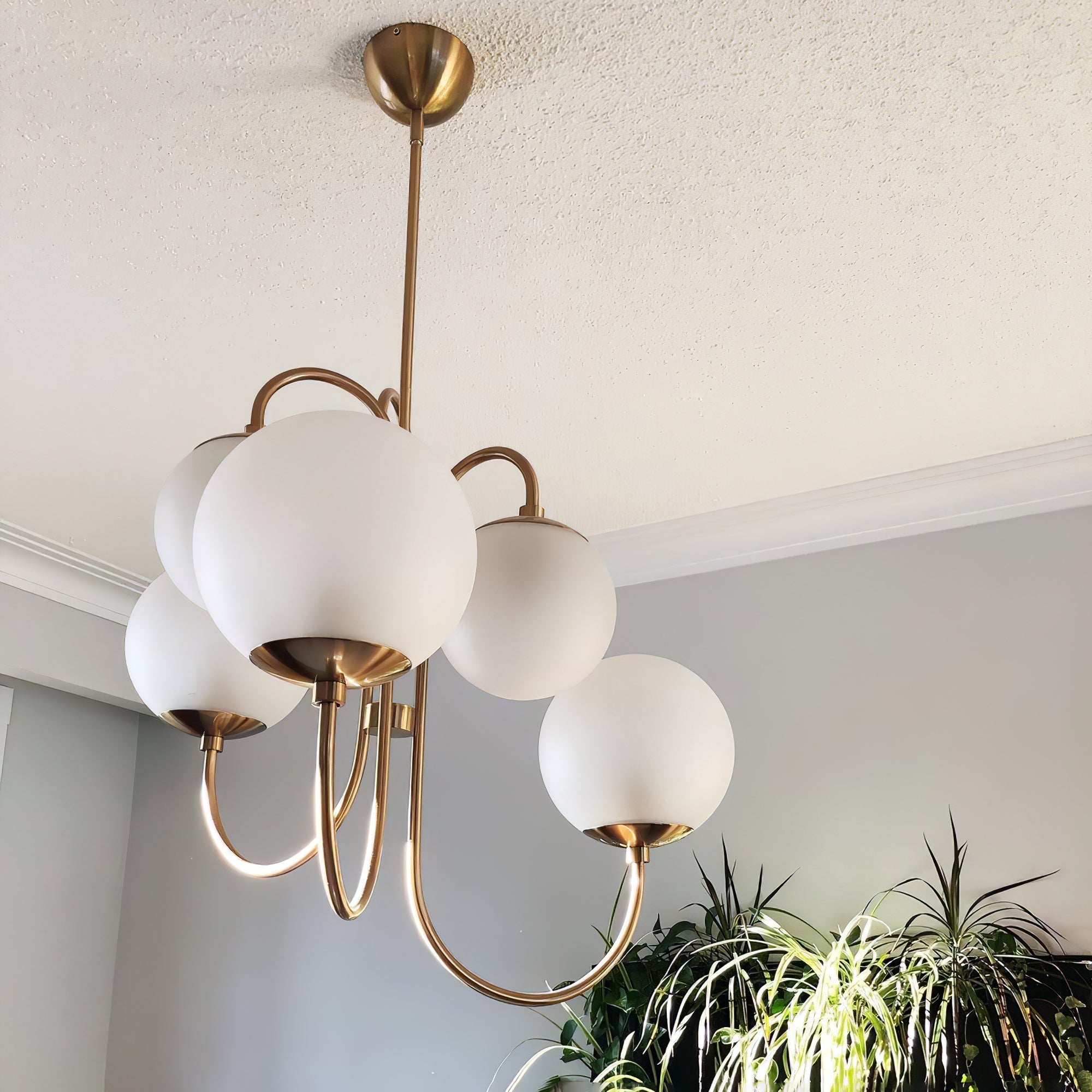 Jornoen Globe Chandelier