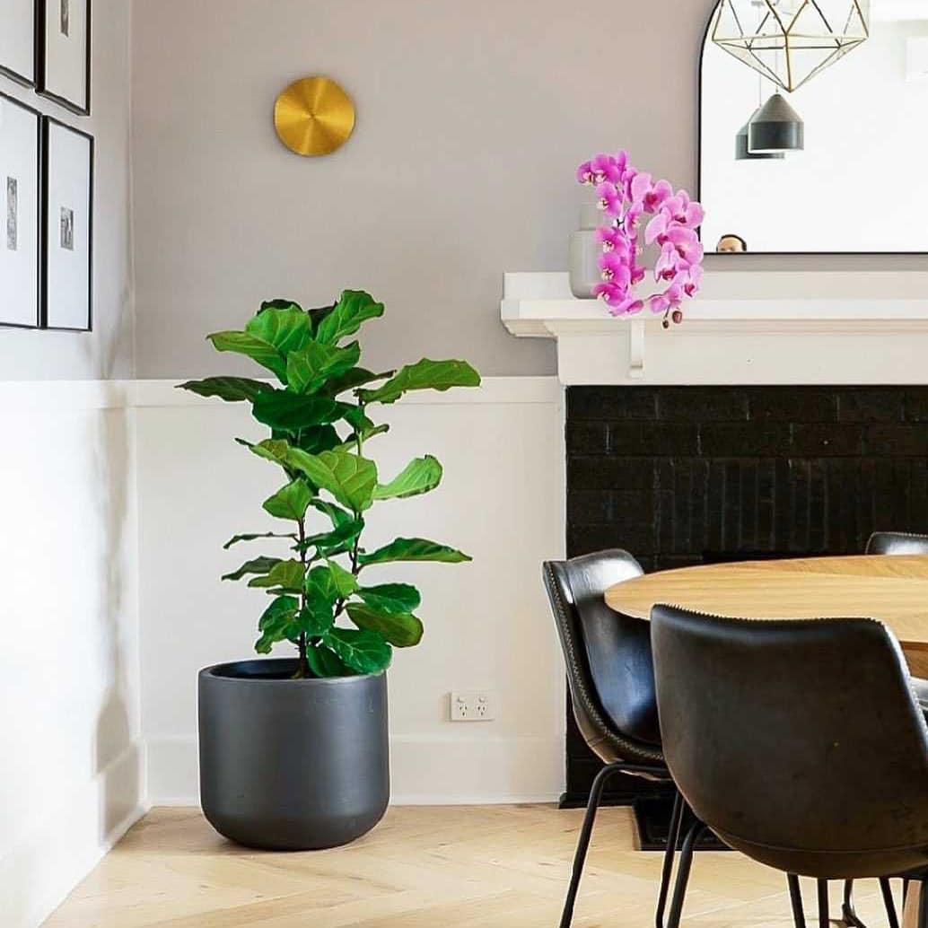 Gossa Wall Lamp – detail 8