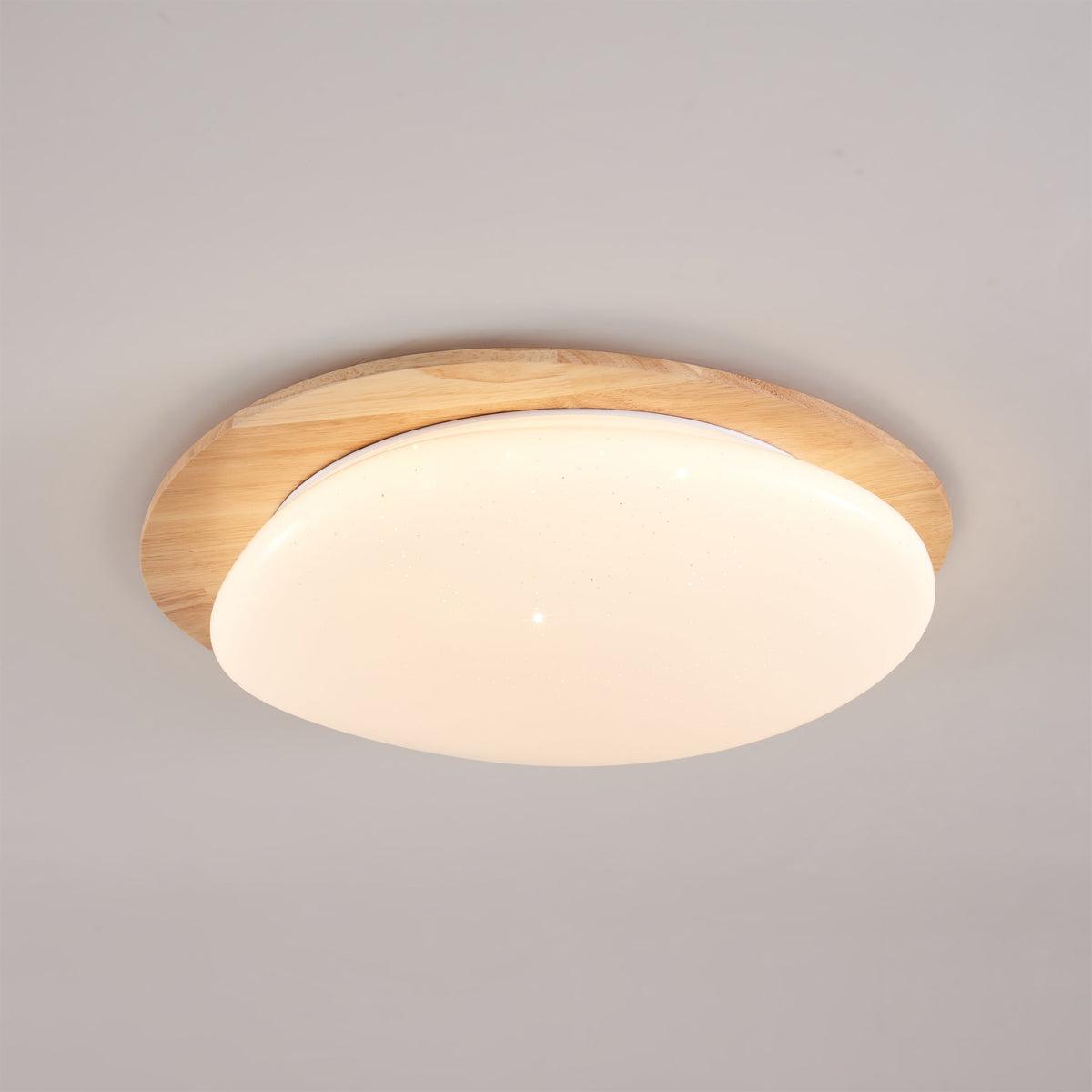 Junovalo Minimalist Ceiling Light