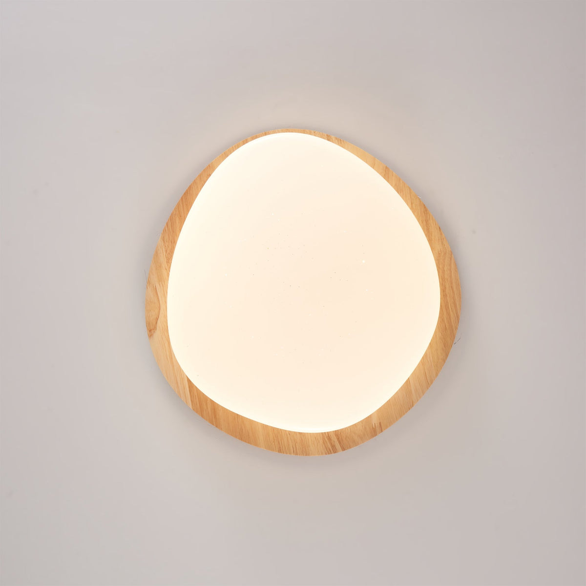 Junovalo Minimalist Ceiling Light