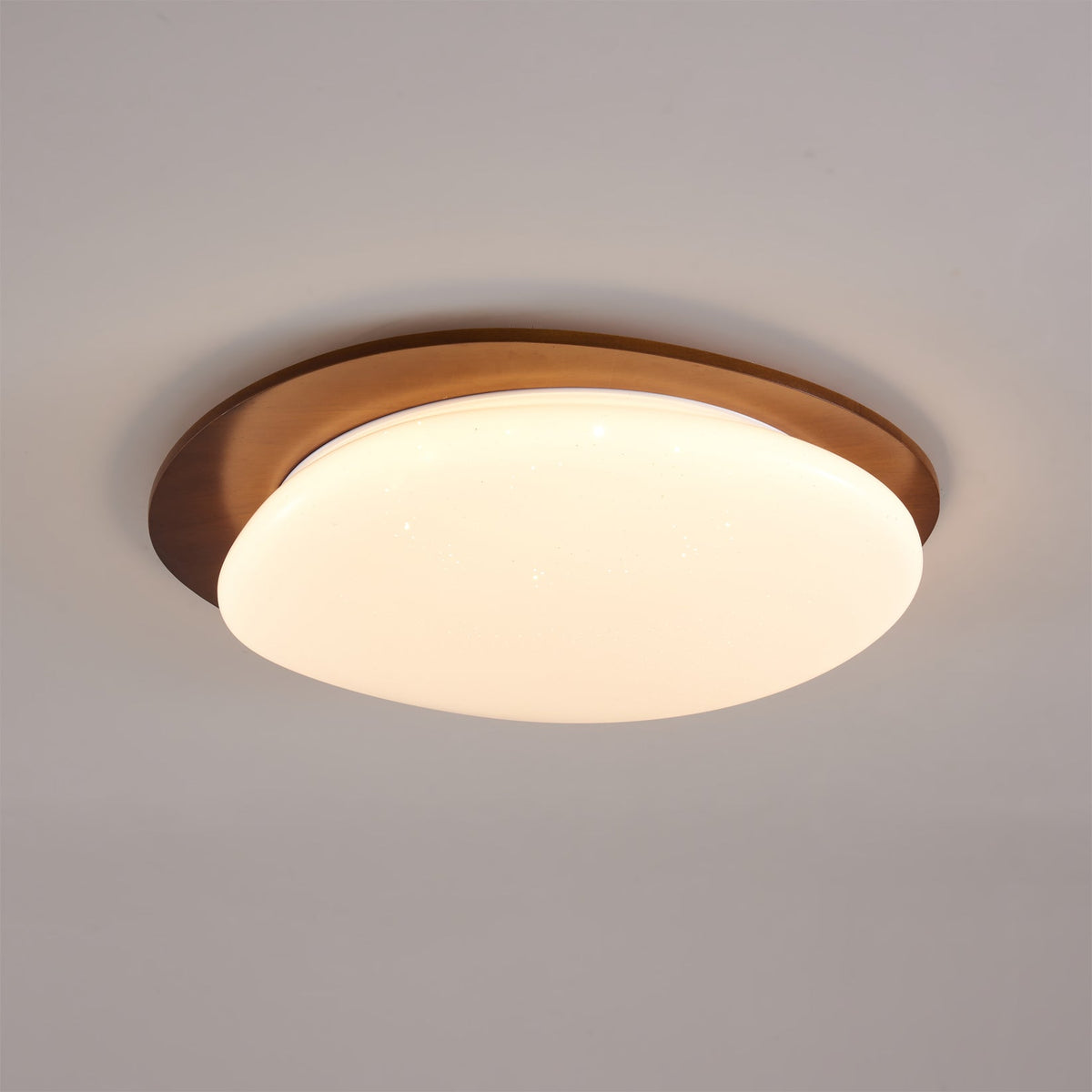 Junovalo Minimalist Ceiling Light