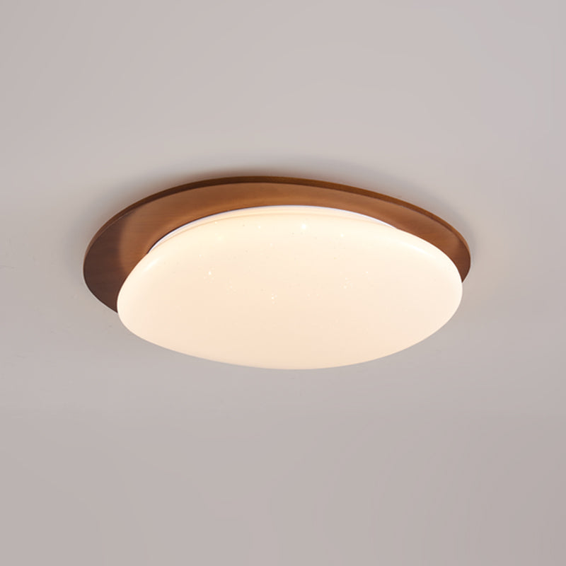 Junovalo Minimalist Ceiling Light