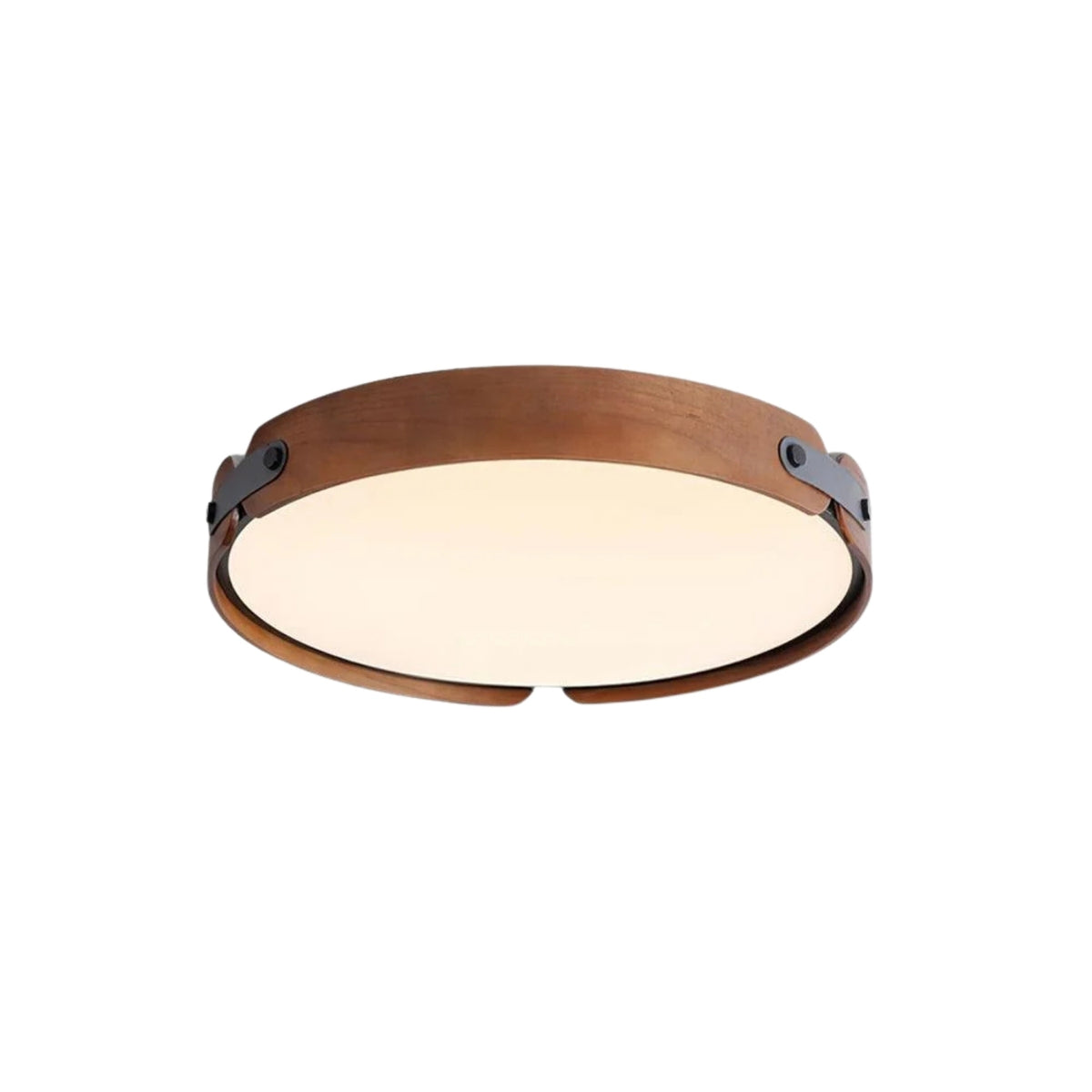 Renlenor Ceiling Light