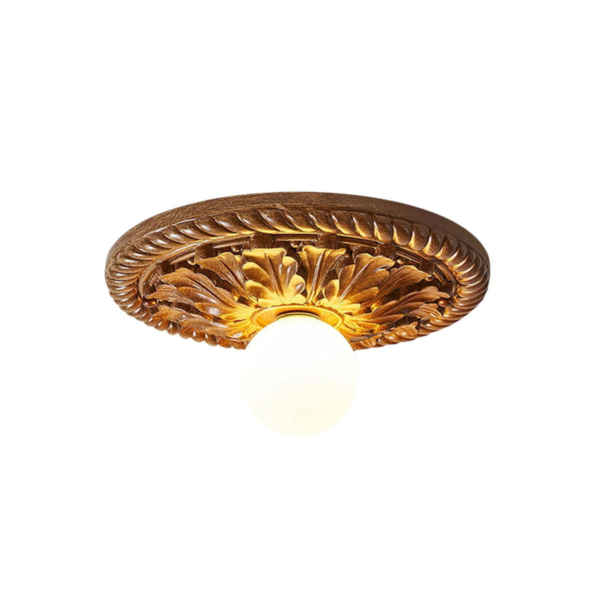 Paxsonal Outdoor Ceiling Light