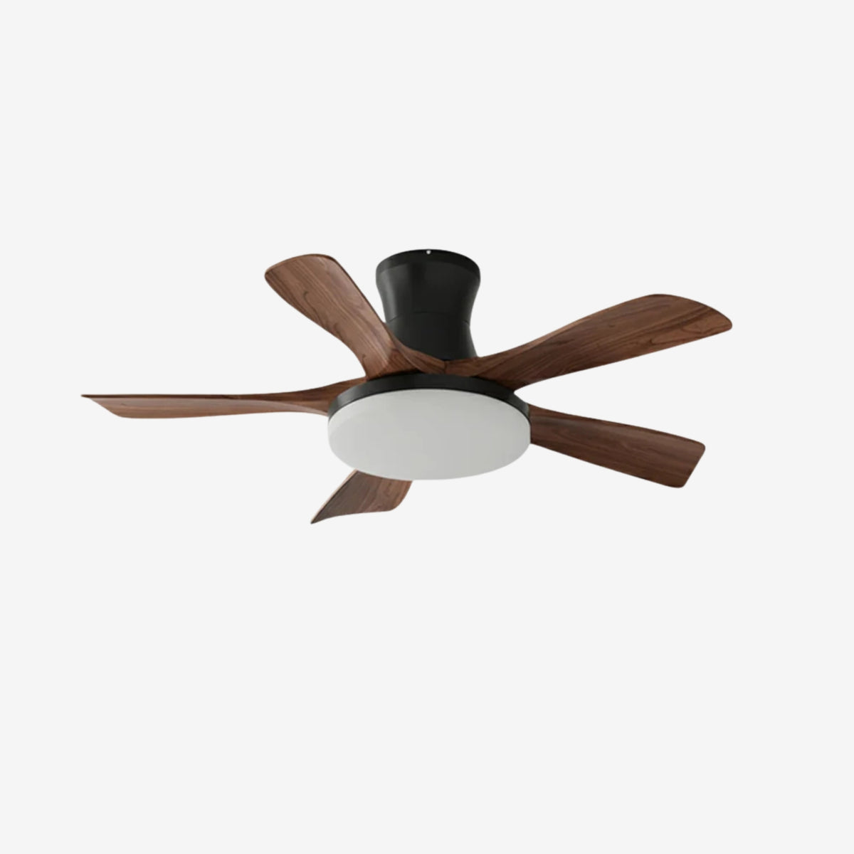 Joreri Ceiling Fan Light
