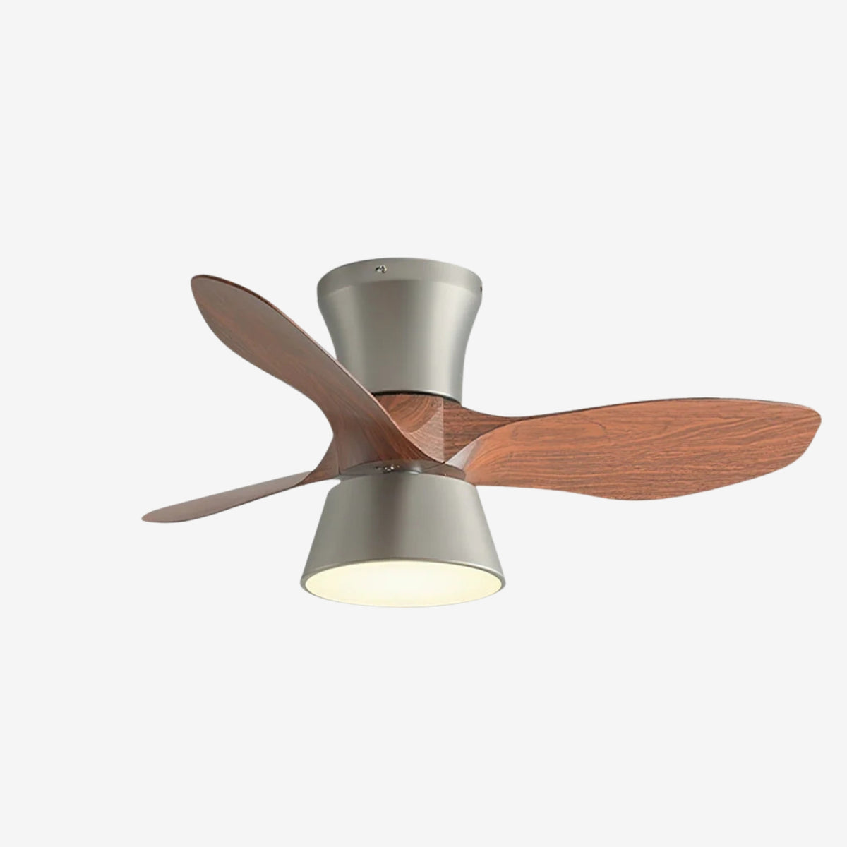 Hayvi Ceiling Fan Light