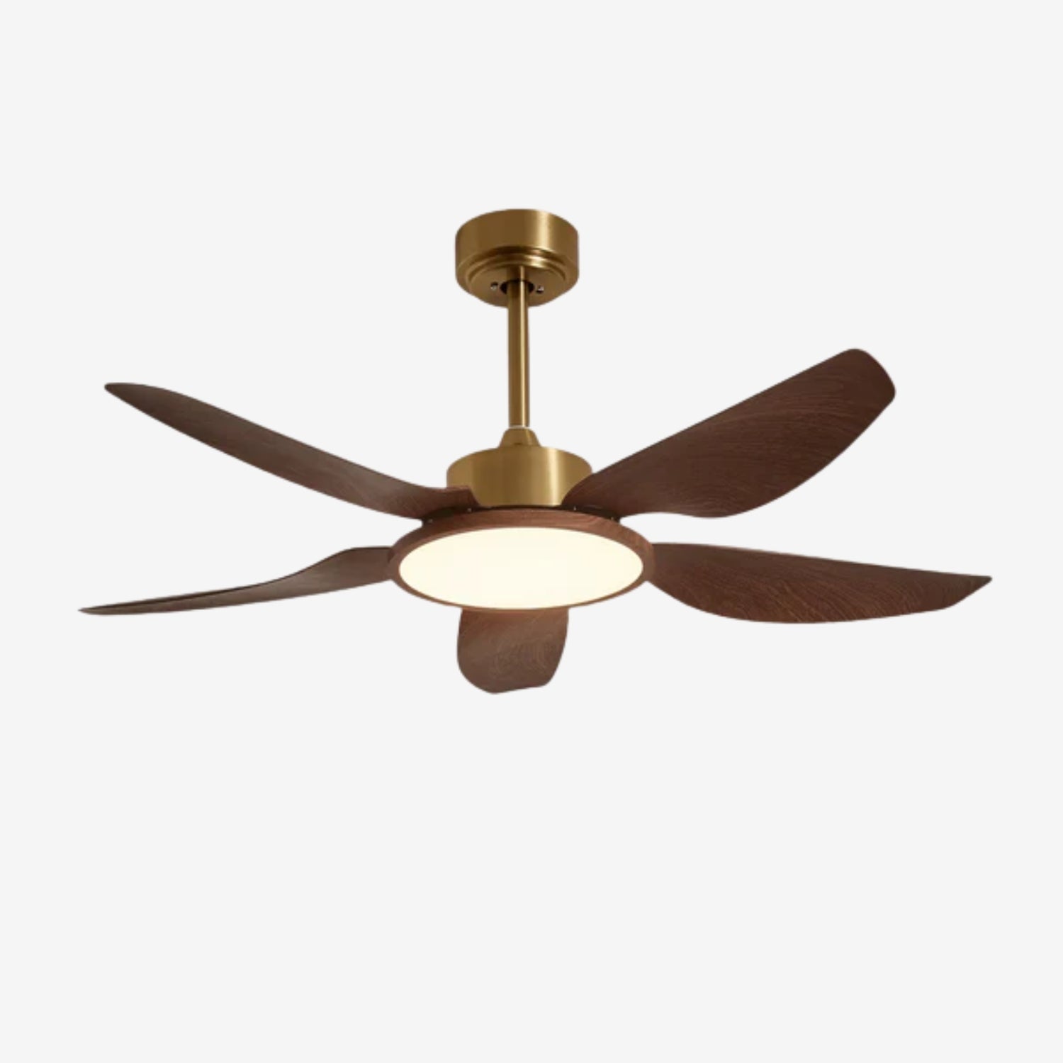 Haleno Ceiling Fan Light