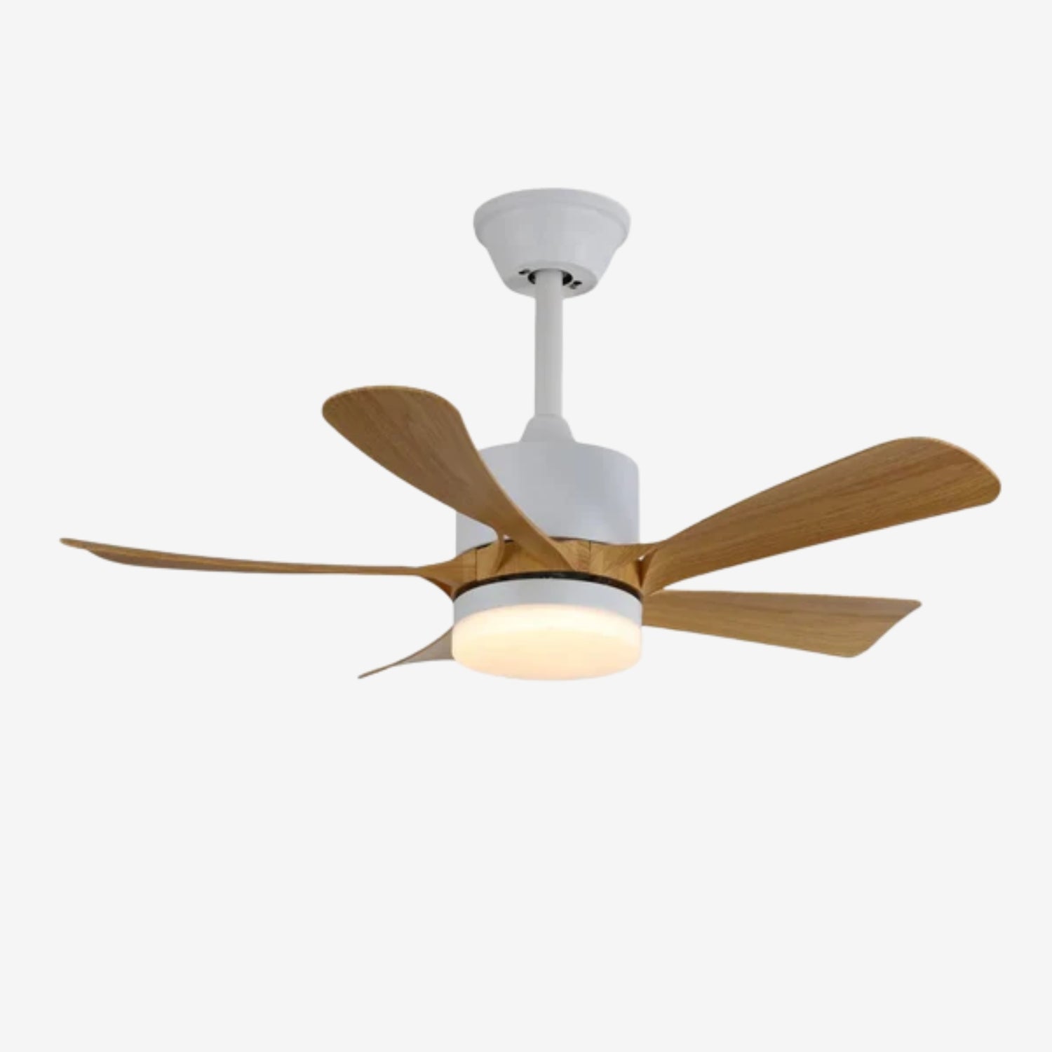Axer Ceiling Fan Light