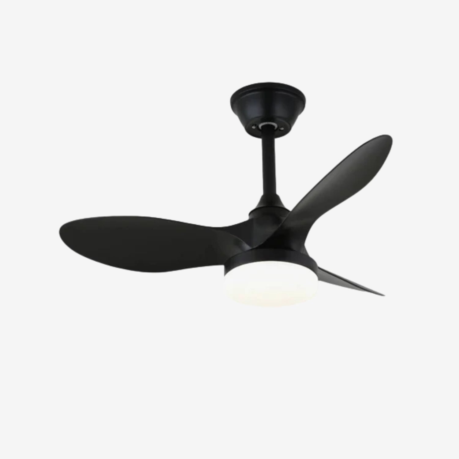 Noallo Ceiling Fan Light