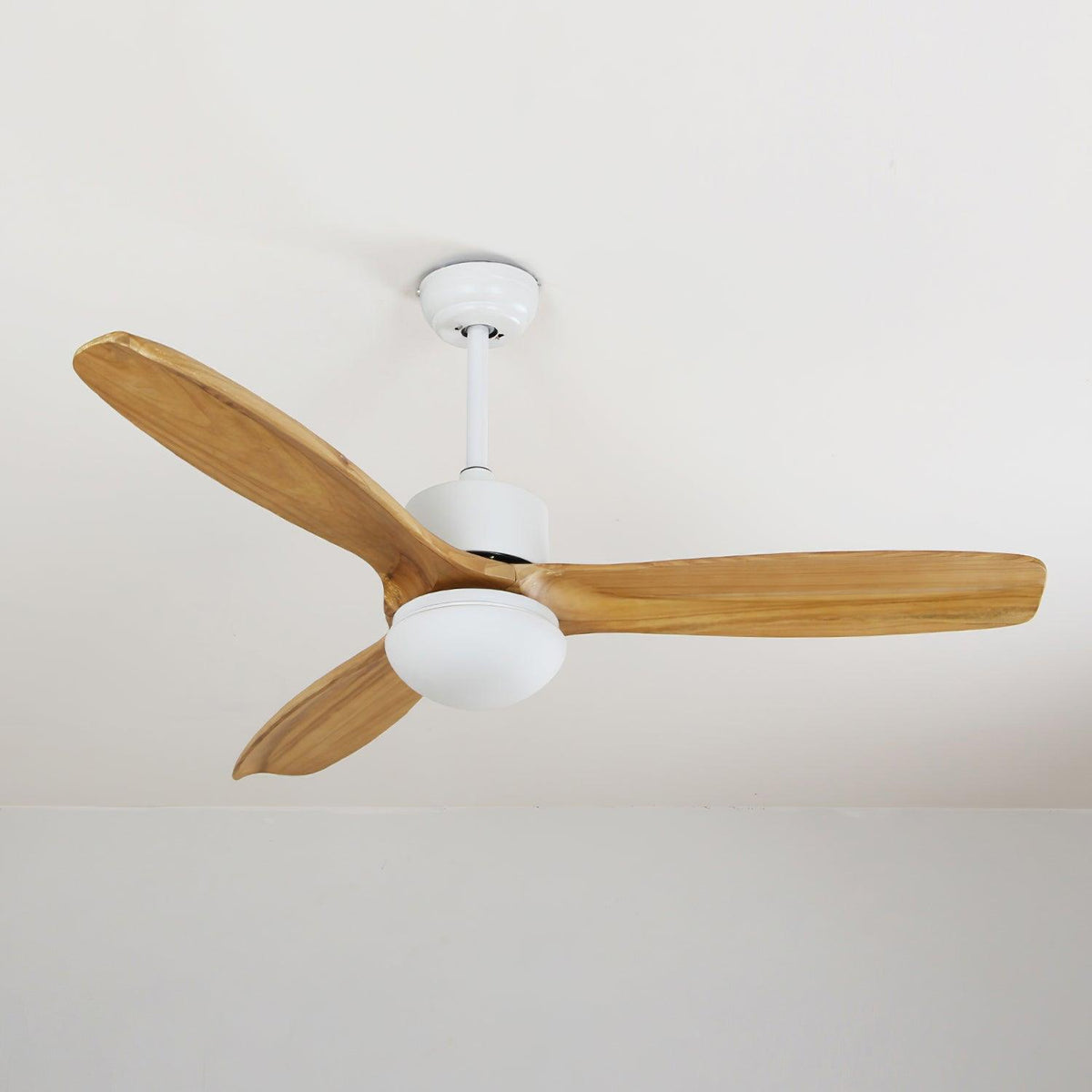 Zelal Ceiling Fan Light