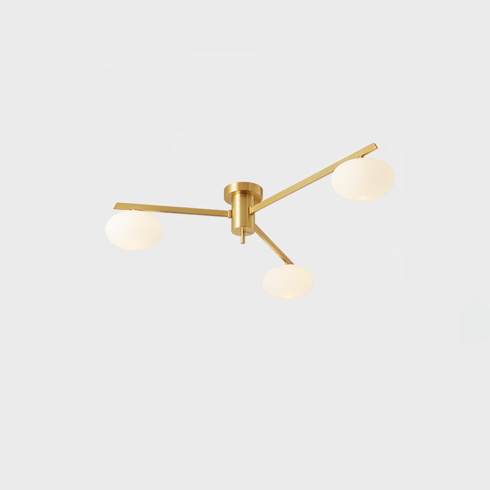 Nolmien Modern Ceiling Light