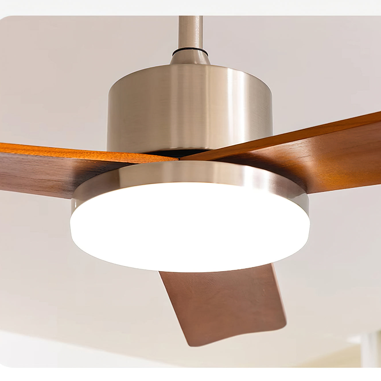 Rioton Ceiling Fan Light