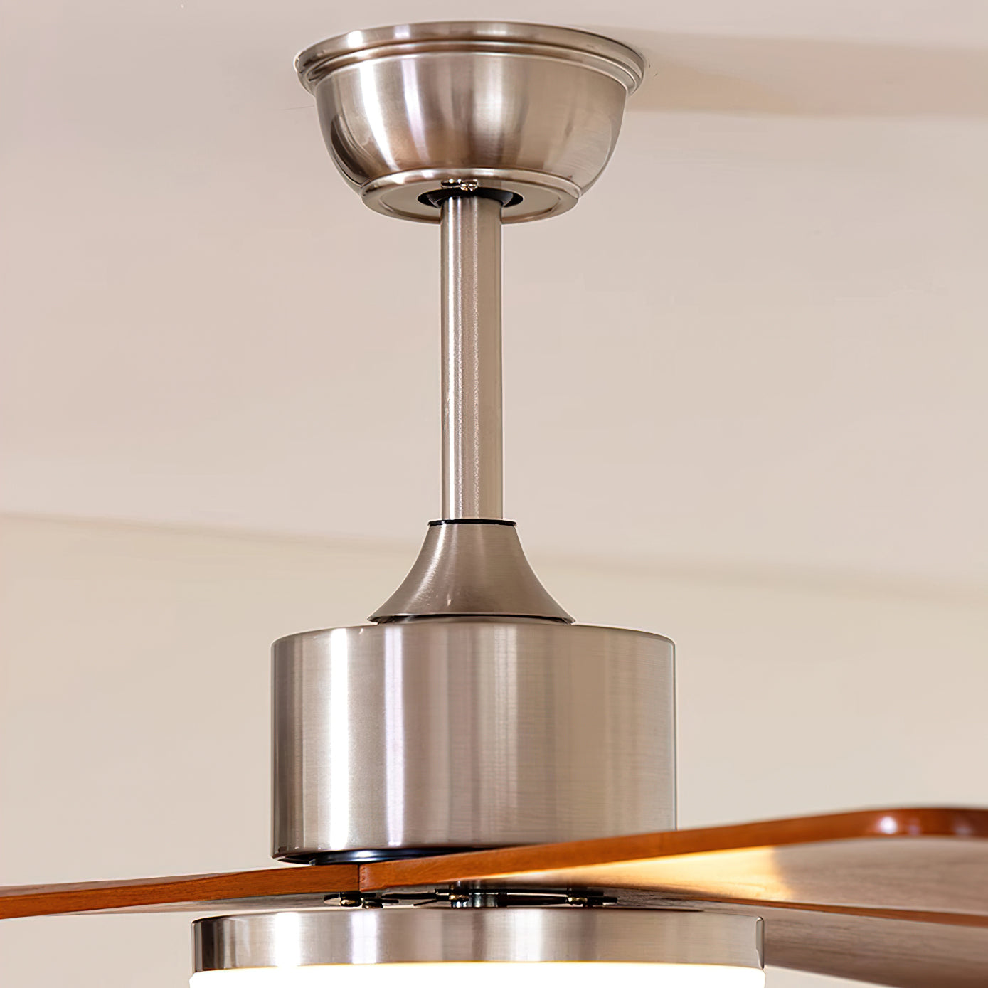 Rioton Ceiling Fan Light