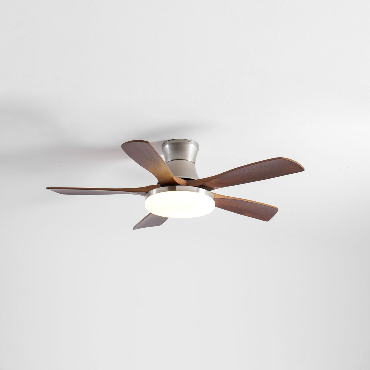 Camon Ceiling Fan Light