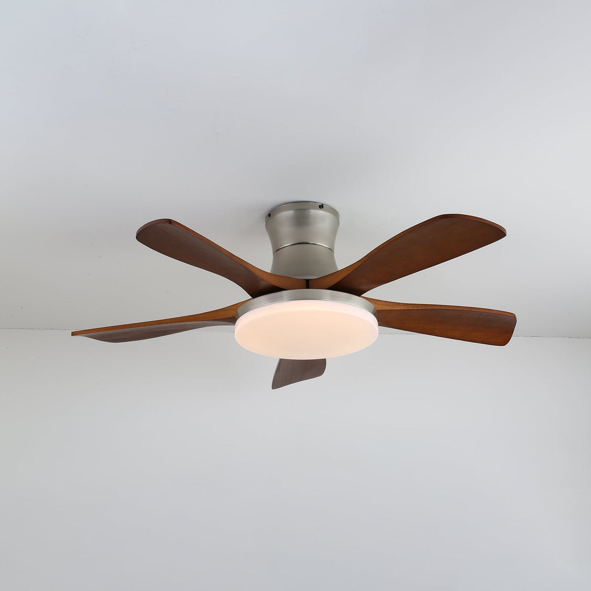 Camon Ceiling Fan Light